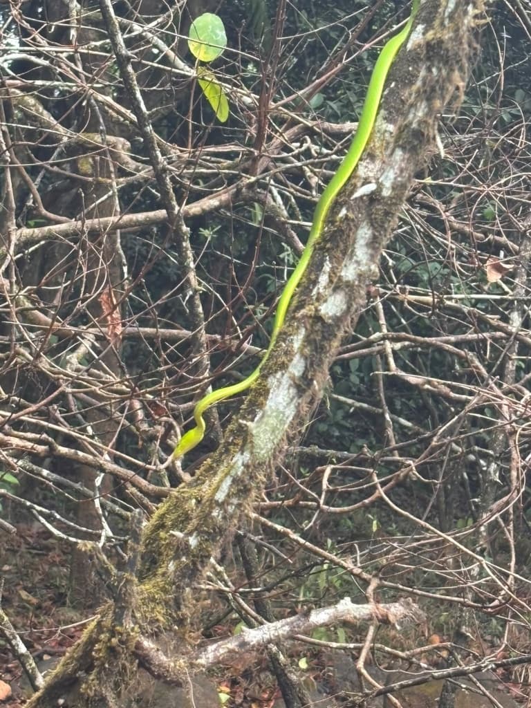 Chandoli photo 20