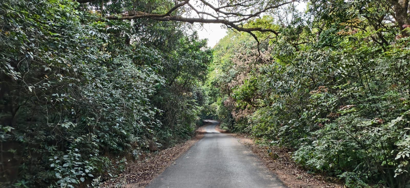 Udgiri Gate Photos 9