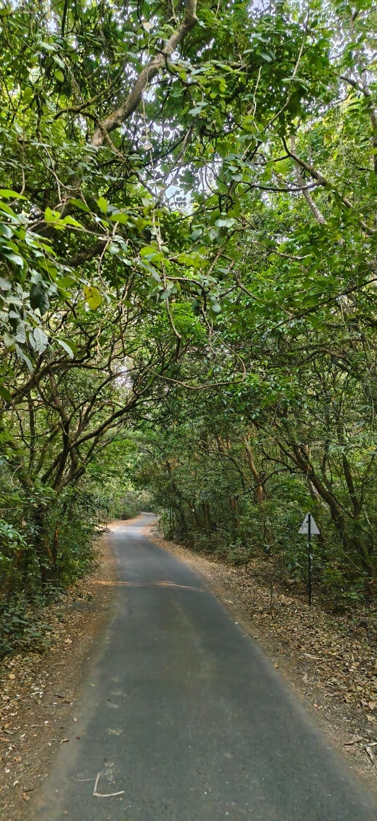 Udgiri Gate Photos 10
