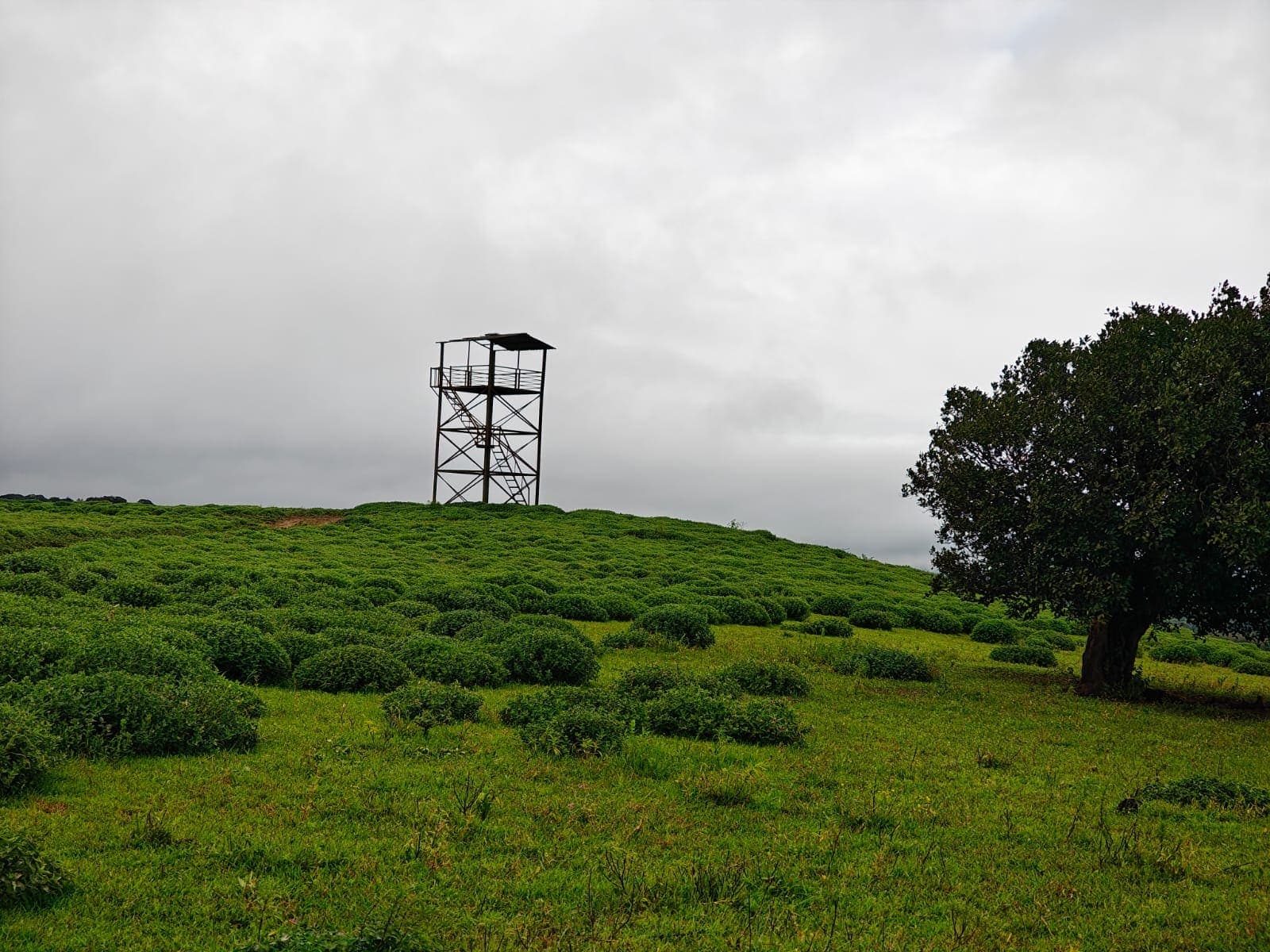 Udgiri Plateau Photos 1