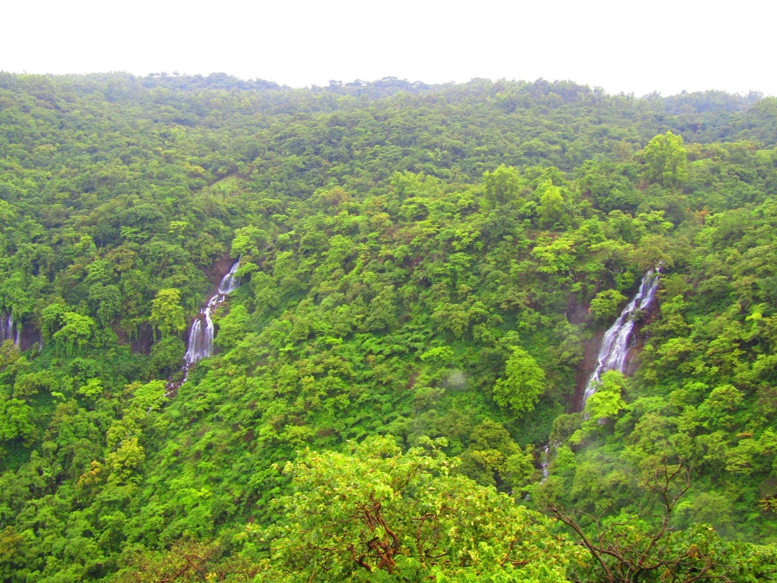 Waterfall Booking Photos 5
