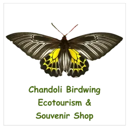 Chandoli Birdwing Ecotourism & Souvenir Shop