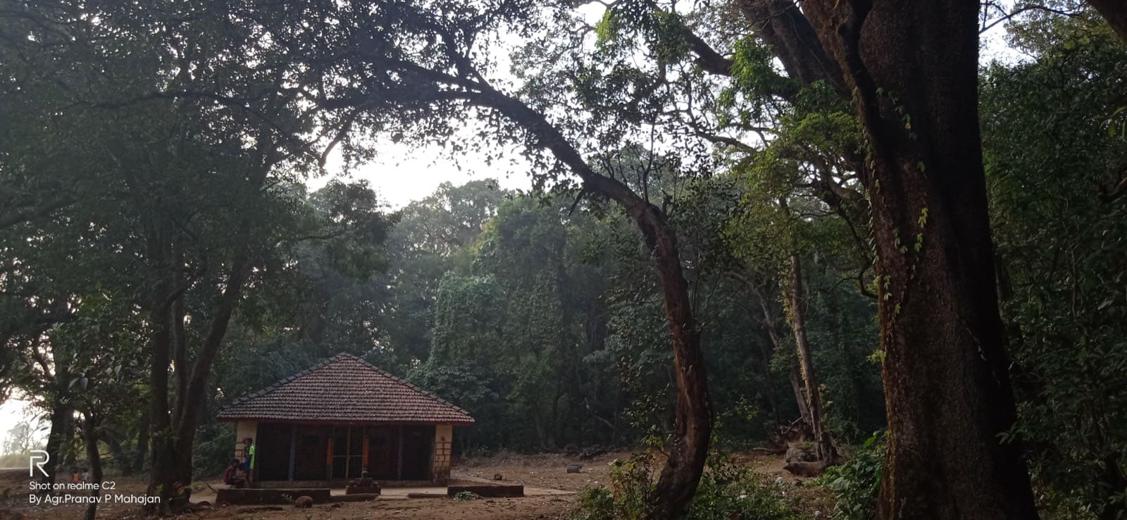 Ambaiwada Sacred Grove (Devrayi)
