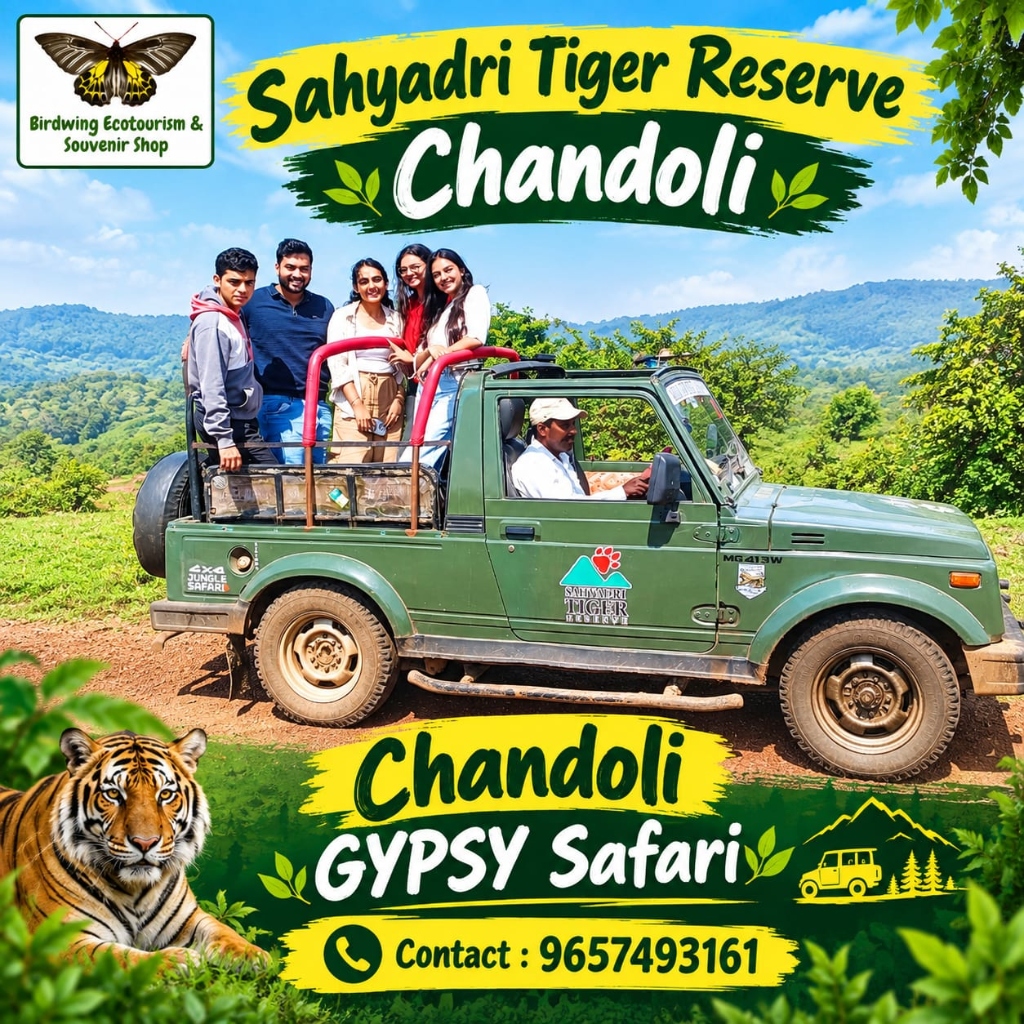 One Day Chandoli Safari Package Photo 2