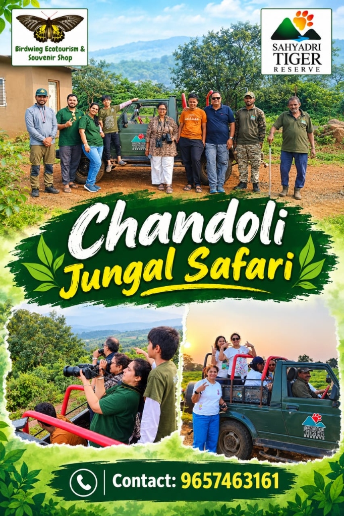 One Day Chandoli Safari Package Photo 1