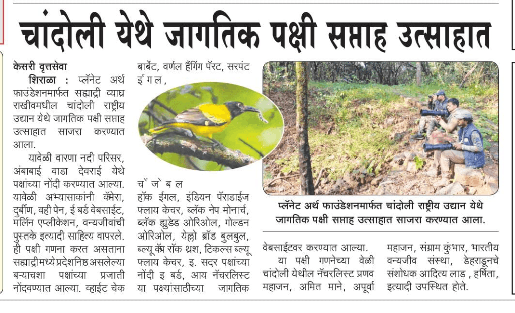 Bird Week brings birders together