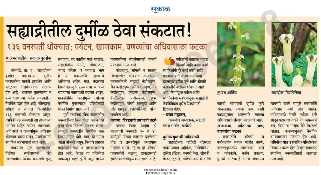 Rare plant diversity under pressure